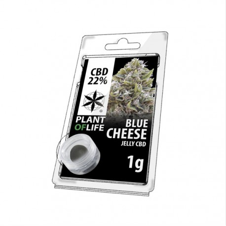 Jelly CBD BLUE CHEESE 22% 1G