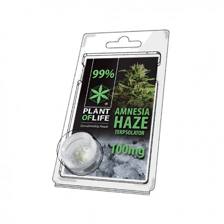 Terpsolator Amnesia Haze 99% CBD - 100mg