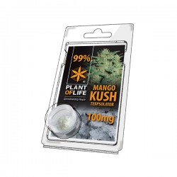 Terpsolator Mango Kush 99% CBD - 100mg