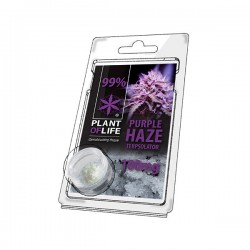 Terpsolator Purple Haze 99% CBD - 100mg