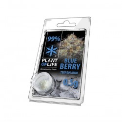 Terpsolator Blueberry 99% CBD - 500mg