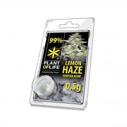Terpsolator Lemon Haze 99% CBD - 500mg
