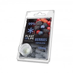 Terpsolator Berries 99% CBD - 100mg