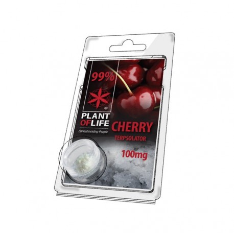 Terpsolator Cherry 99% CBD - 100mg