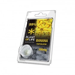 Terpsolator Banana 99% CBD - 500mg