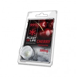 Terpsolator Cherry 99% CBD - 500mg