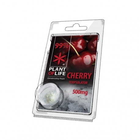 Terpsolator Cherry 99% CBD - 500mg