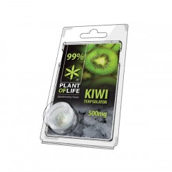 Terpsolator Kiwi 99% CBD - 500mg