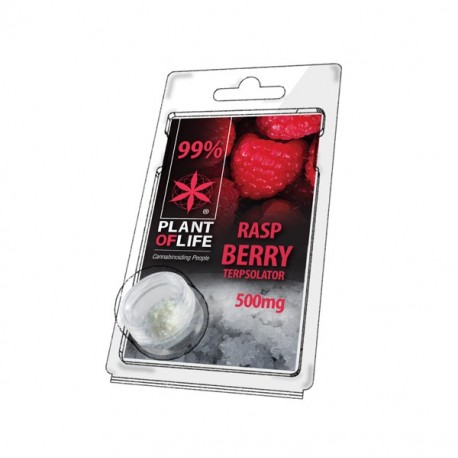 Terpsolator Raspberry 99% CBD - 500mg