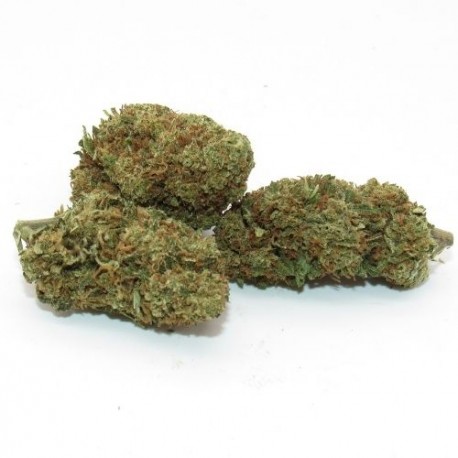 Budda Zen 19,5% CBD