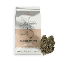Fleur CBG Alpine White 9,5%