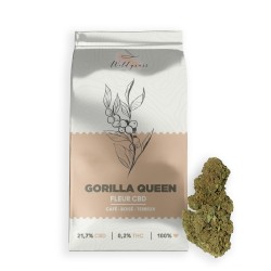 Gorilla Queen 19,3% CBD