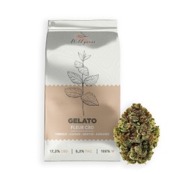 Gelato 17,2% CBD