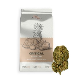 Critical 17,2% CBD