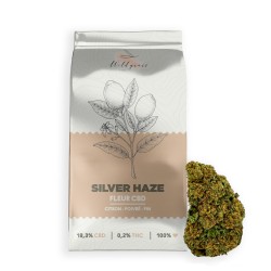 Silver Haze 18,3% CBD