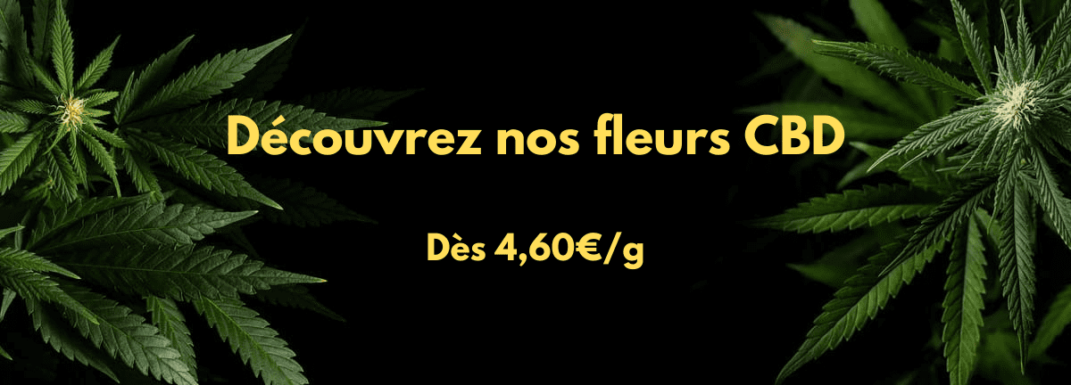 fleur cbd puissante