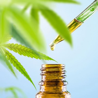 cbd et hypertension