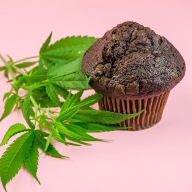 Comment faire un Space Cake à base de CBD ?