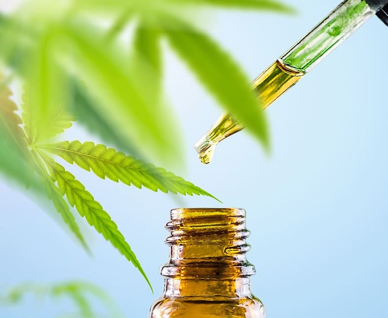 cbd et hypertension