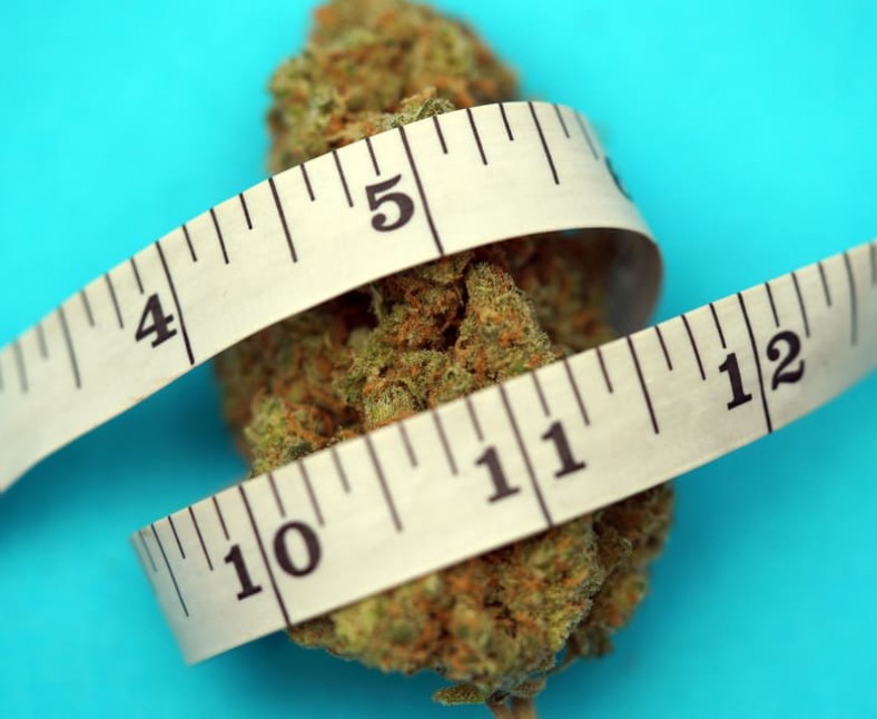 Can CBD help you lose weight?