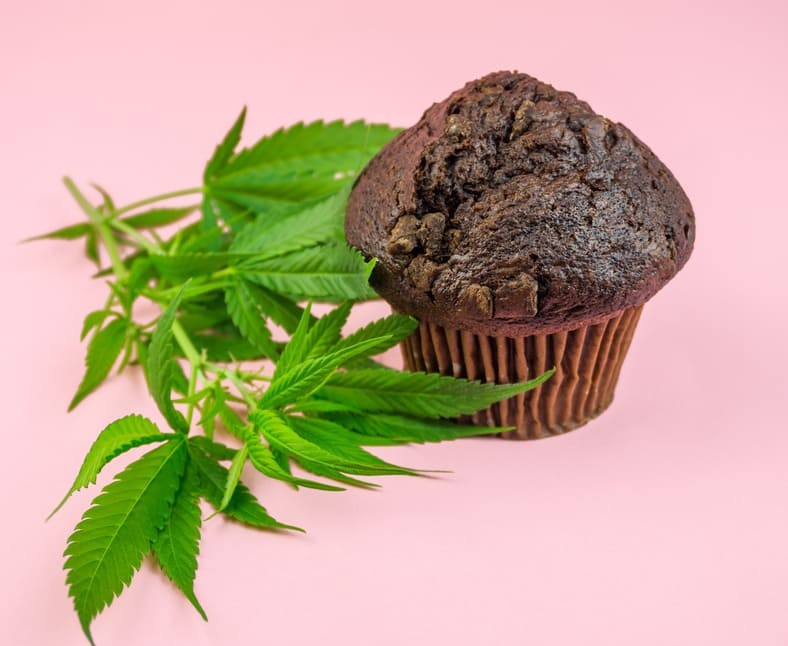 Comment faire un Space Cake à base de CBD ?